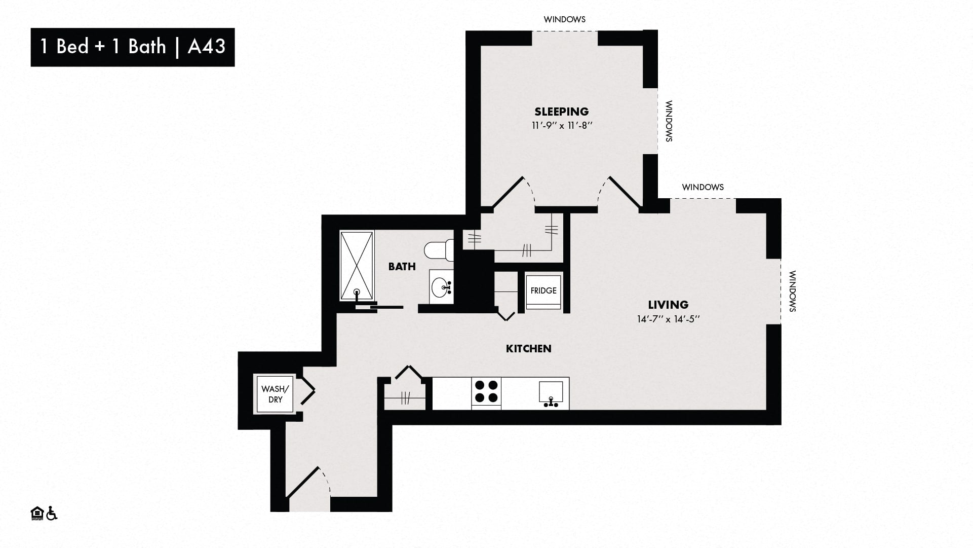 1 Bed/1 Bath-A43 floor plan