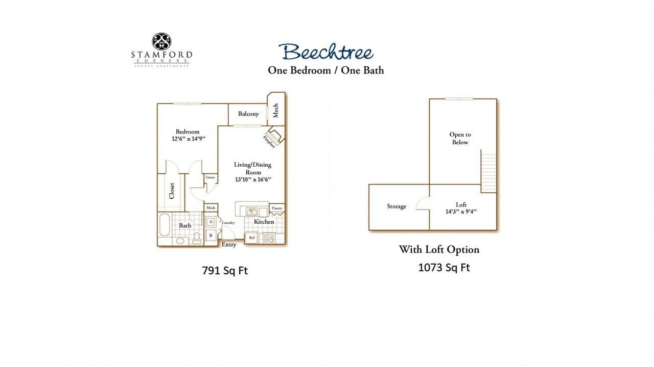 1 Bed/1 Bath-Beechtree floor plan